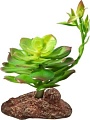 Искусственное растение Laguna Эониум 84044005