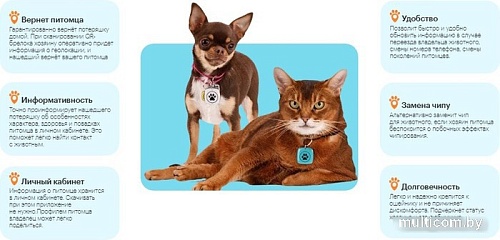 Адресник Потеряшка QR (красный)