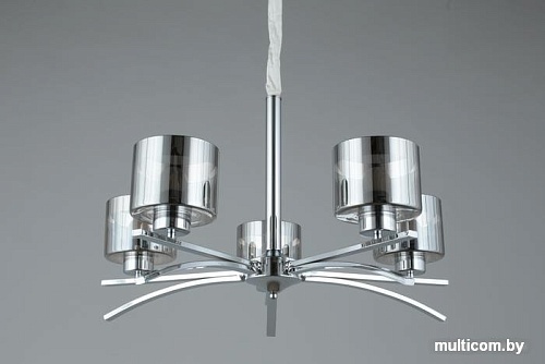 Подвесная люстра Omnilux OML-55803-05