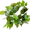 Искусственное растение Lucky Reptile Golden Pothos IF-33