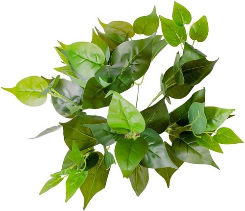 Искусственное растение Lucky Reptile Golden Pothos IF-33