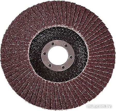 Набор шлифкругов БаЗ КЛТ2 A00000892 (5 шт)