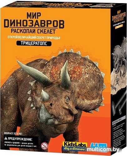 Набор для опытов 4M Раскопай скелет. Трицератопс 00-03228