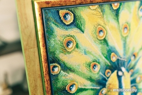 Набор для вышивания Золотое руно Павлин РС-022