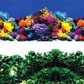 Фон Laguna Обитатели рифа/Джунгли 8001/8002 74064091