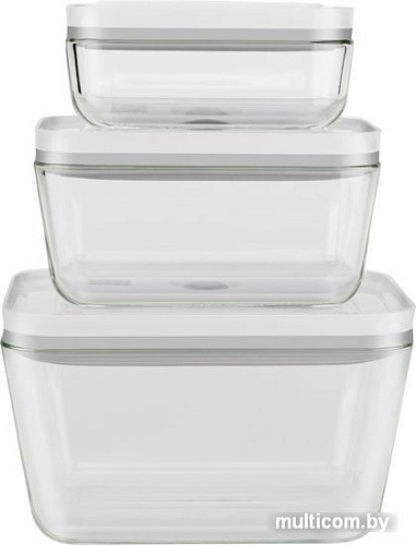 Набор контейнеров Zwilling Fresh&Save 36803-003