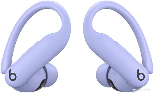 Наушники Beats Powerbeats Pro 2 (сиреневый)