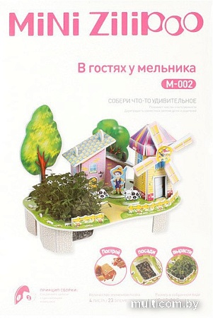 Набор для опытов Darvish 3D В гостях у мельника DV-T-2182-2