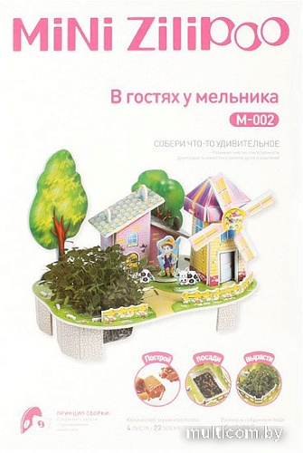 Набор для опытов Darvish 3D В гостях у мельника DV-T-2182-2