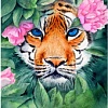 Картина по номерам Рыжий кот Тигр в кустах Х-3870