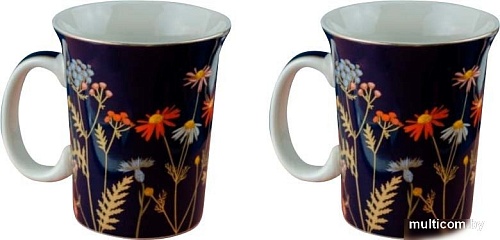 Набор кружек Nouvelle Grace 0440019-Н2