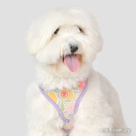 Шлейка-жилетка Pinkaholic Evanthe NAWA-HA7719-PU-M (фиолетовый)