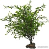 Искусственное растение Lucky Reptile Kalahari Bush IF-52
