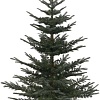 Ель GreenTerra Нобилис 2.4 м