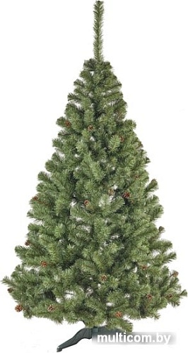 Ель Sonic Лена с натуральными шишками 1.8 м