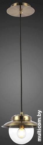 Подвесная люстра Evoluce Garonni SLE110103-01