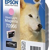 Картридж Epson C13T09664010
