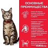 Сухой корм для кошек Hill's Science Plan Adult 1-6 Chicken для взрослых кошек для поддержания жизненной энергии и иммунитета, с курицей 10 кг