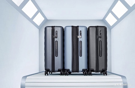 Чемодан-спиннер 90 Ninetygo Rhine Pro Luggage 20 (розовый)