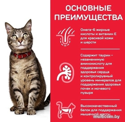 Сухой корм для кошек Hill's Science Plan Adult 1-6 Chicken для взрослых кошек для поддержания жизненной энергии и иммунитета, с курицей 10 кг