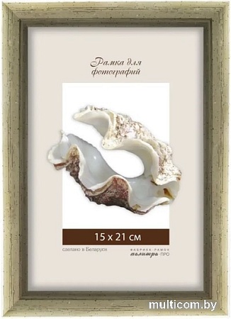 Фоторамка Палитра 22М/02 21x30 (серебряный)