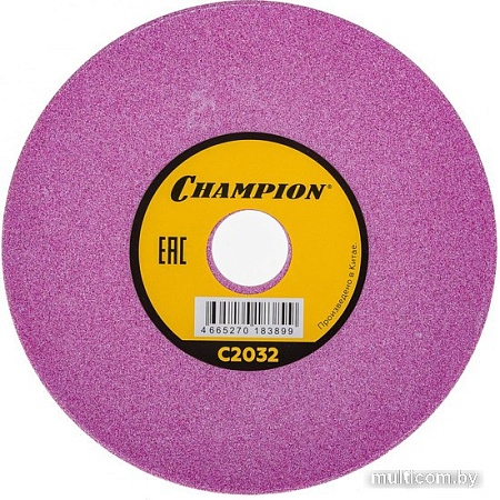 Шлифовальный круг Champion C2032