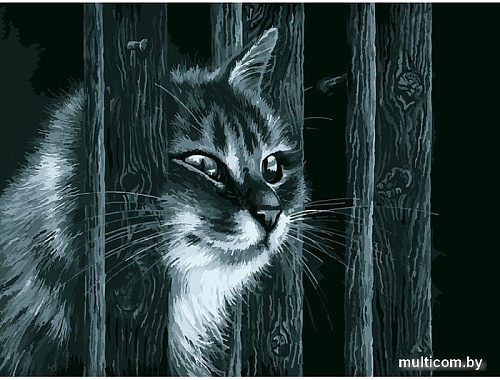 Картина по номерам Белоснежка Любопытный сосед 411-BA-C