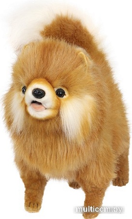 Классическая игрушка Hansa Сreation Померанский шпиц 7018 (28 см)