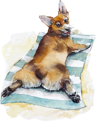 Картина по номерам Рыжий кот Корги на отдыхе Х-3867