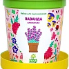 Набор для опытов Happy plant Лаванда ароматная hpn-15