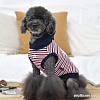 Футболка Puppia Skipper PAUA-TS1812-NY-XL (XL, синий)