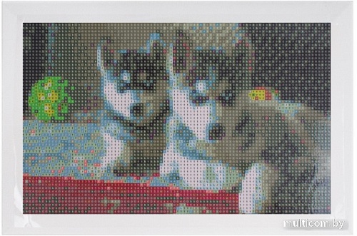 Алмазная мозаика Darvish Два щенка DV-9516-20