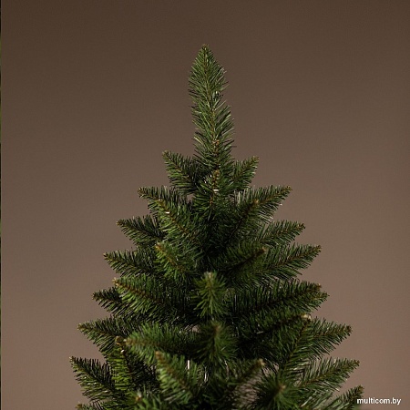 Ель Ёлушка Невская ЕНЕВ 11 (1.1м)