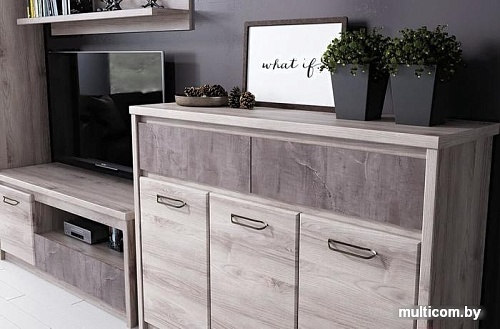 Тумба Anrex Jazz 3D2S (каштан найроби оникс)