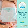 Подгузники Pampers Premium Care 3 (148 шт)