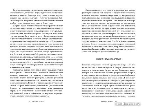 Книга издательства Азбука. Заново изобретая колесо (Персиваль Б., Персиваль Ф.)