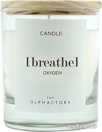 Ароматизированая свеча Ambientair The Olphactory Breathe Кислород VV402OXTO