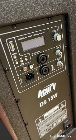 Активная акустика Acury DS15W