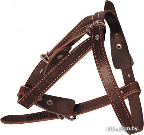 Шлея Gamma 11332004 (коричневый)