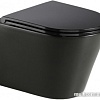 Унитаз WeltWasser Salzbach 041 MT-BL (черный матовый)