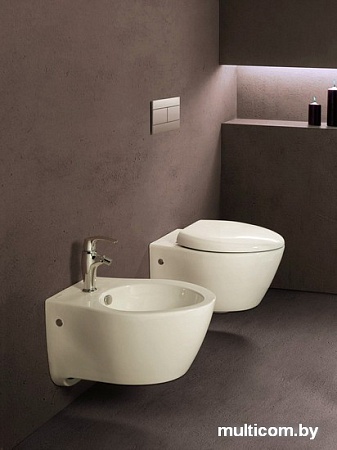 Унитаз Jacob Delafon Presqu'ile E1466