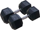 Набор гантелей DFC DB001-25 2x25 кг