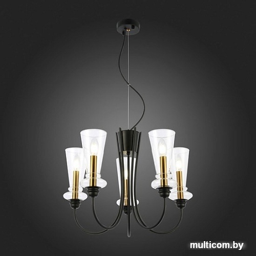 Подвесная люстра Evoluce Rammo SLE112403-05