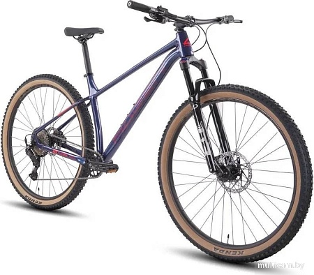 Велосипед Hagen 3.9 29 XL 2025 (штормовой синий)