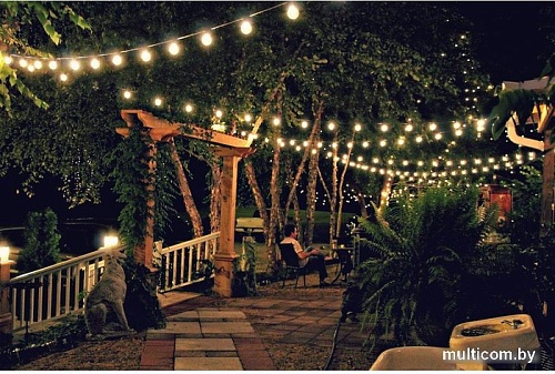 Новогодняя гирлянда Retlux RGL 115