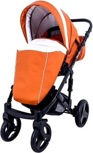 Ray Corsa Ecco (2 в 1, 26)