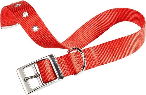 Ошейник Ferplast Club CF25/53 75267922 (красный)