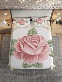 Покрывало JoyArty Роза в рамке bcsl_12569 (160x220, 2 наволочки)