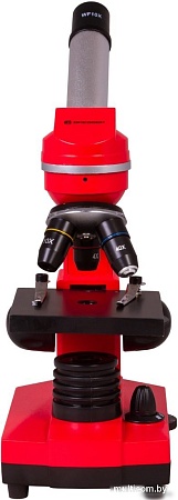 Детский микроскоп Bresser Junior Biolux SEL 40–1600x 74320 (красный)