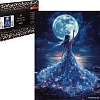 Алмазная мозаика Феникс+ Танец при луне 71441